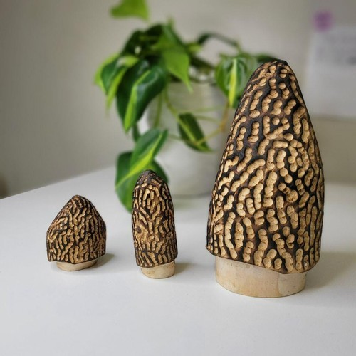 Morel set intaglio - morel, legno