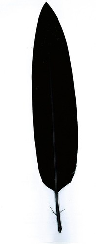 Penna ginnica per - per, cappello
