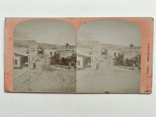 Tunis porta della folle - tunis,