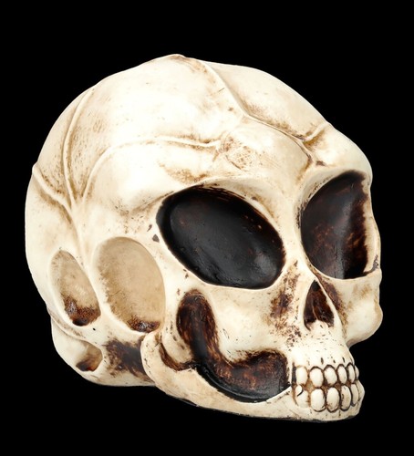 Totenkopf alien skull - totenkopf,