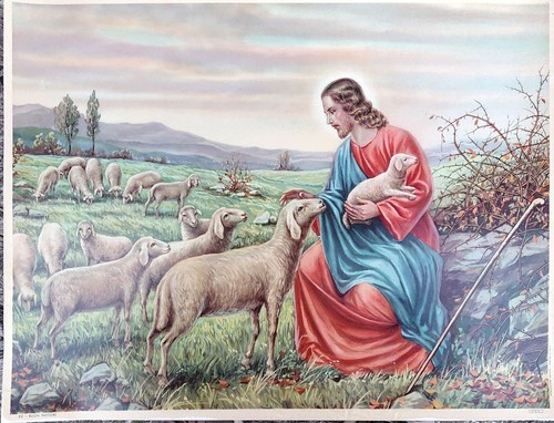 Gesú buon pastore stampa - buon,