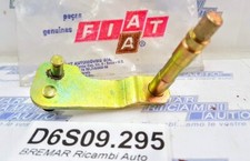 D6S09.295 ALBERINO RIPRISTINO