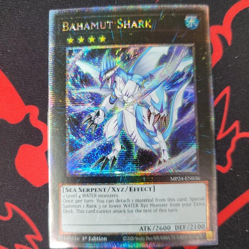 Bahamut shark quarter century - shark,