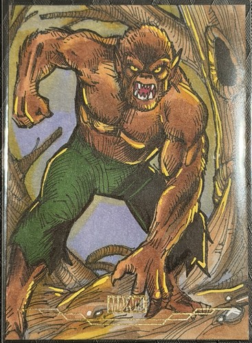 2026 topps chrome - topps,