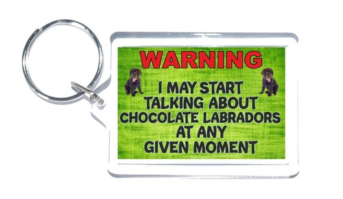 Fun chocolate labrador gifts - fun,