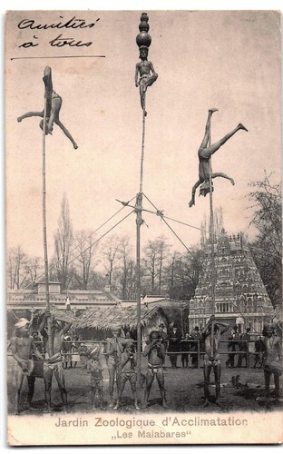 C1905 cartolina giardino - c1905, cartolina,