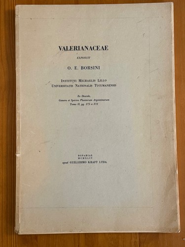 Valerianaceae borsini 1944 - valerianaceae,