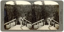 YELLOWSTONE SV - Canyon -