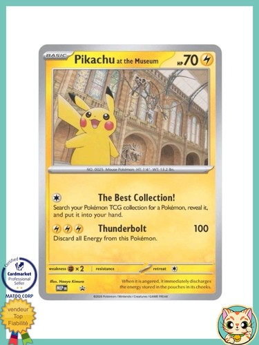 Pikachu the museum - the,