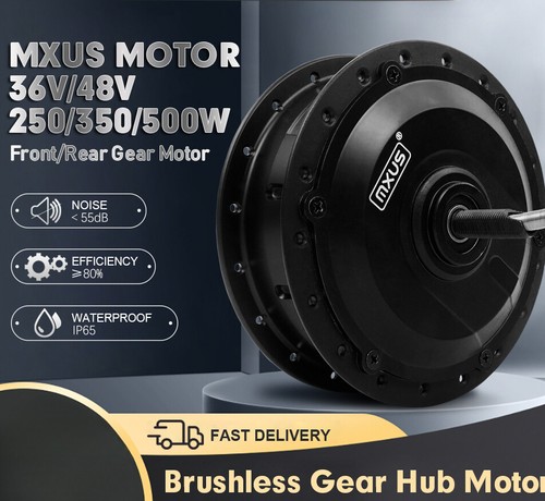 Bici elettrica 250w 350w - 250w,