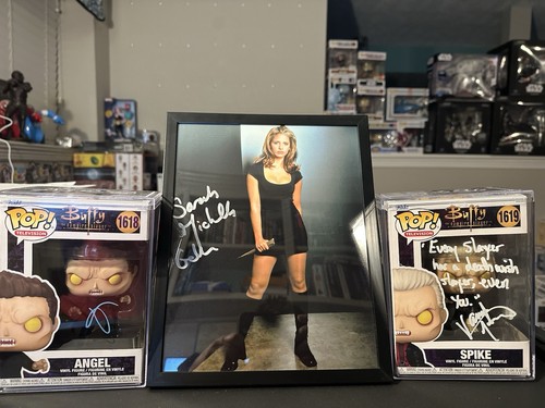 Buffy the vampire slayer - the,