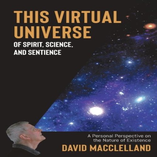 This virtual universe - this, of