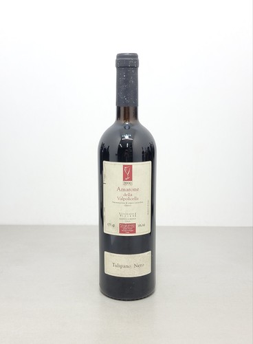 Amarone viviani tulipano nero - tulipano,