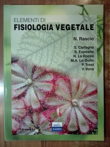 Nicoletta rascio elementi - rascio,