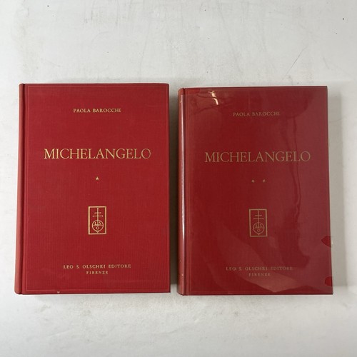 Michelangelo sua scuola - la,