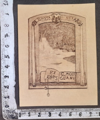 Wunderkammer exlibris 537 - pl,