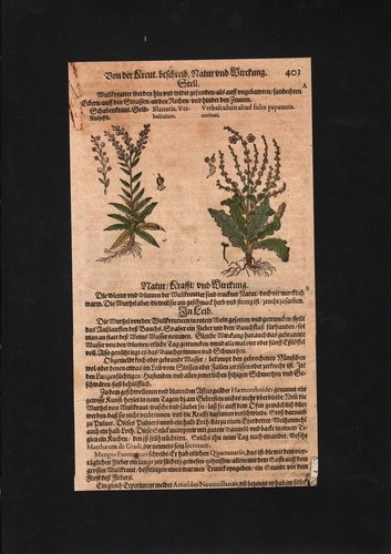 1580 delle candele - 1580, re