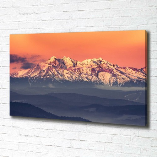 Quadro tela stampa - quadro,
