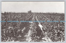 R743562 Casa Codorniu No 1 San