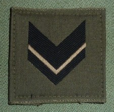 Gradi Pettorali adesivi