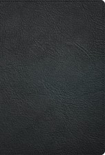 Biblia RVR 1960 Deluxe Piel