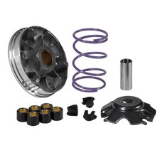 MF8606 Variatore Malossi