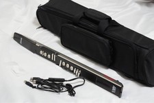 Regolatore elettronico del