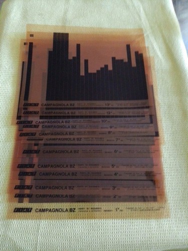 Microfiche campagnola - 12,