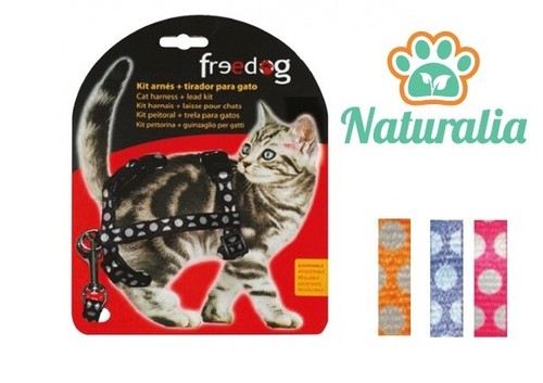 Kit gatto pettorina - kit,