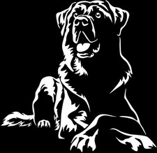 Adesivo CANGAL - Adesivo Auto