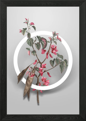 Quadro stampa tela - quadro, poster
