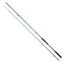 Canna daiwa spitfire sea bass - daiwa,