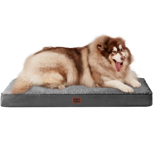 Cuccia cane interno - cuccia,
