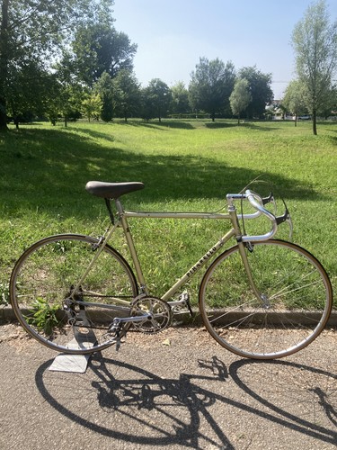 Pinarello treviso 1977 - pinarello,