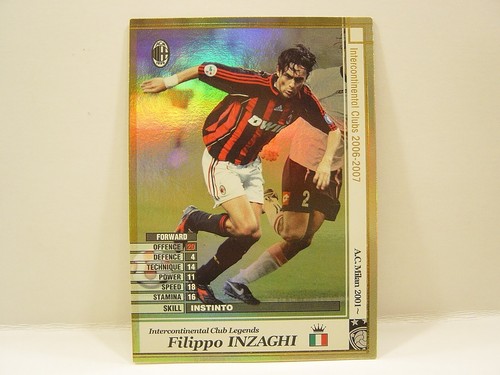 Panini wccf 2006 - panini,