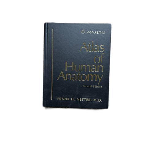 New atlas human - atlas, anatomy