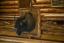 Foto: Wyoming Beulah Ranch A