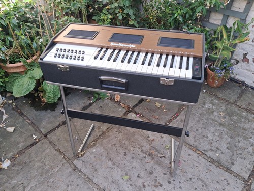 Organo elettrico portatile