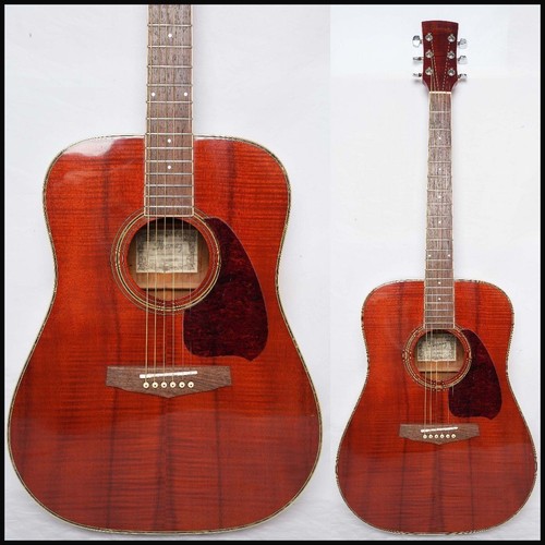 Chitarra acustica ibanez - acustica,