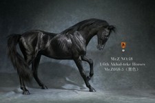 Mr.Z 1/6 MRZ048-5 Akhal-Teke