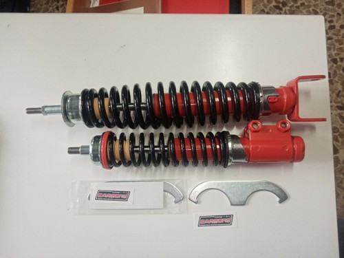 Coppia ammortizzatori carbone - ammortizzatori,