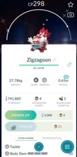 Shiny Zigzagoon galar XXL |