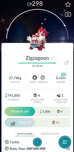 Shiny zigzagoon galar xxl - shiny,