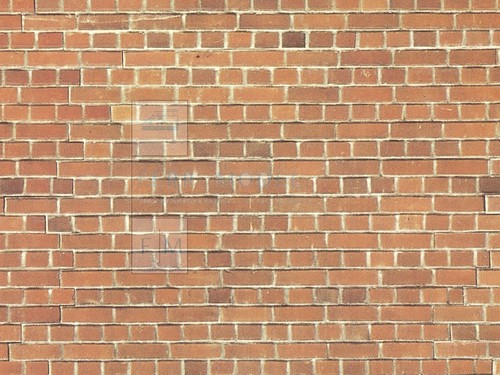 Noch 57550 muro - noch, in