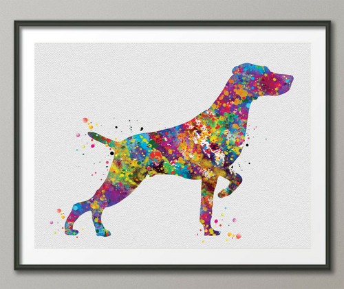 Weimaraner arte cane stampa