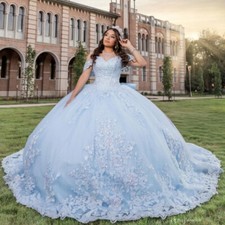 Sky Blue Princess Quinceanera Dresses Appliques Backless Bow Sweet 15 16 Dress