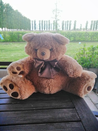 Orso orsetto peluche blaydon - orsetto,