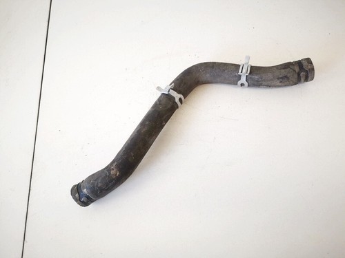 Radiator hose - ,