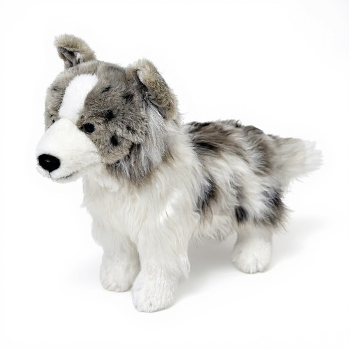 Peluche border collie - border,