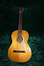CHITARRA DA CONCERTO